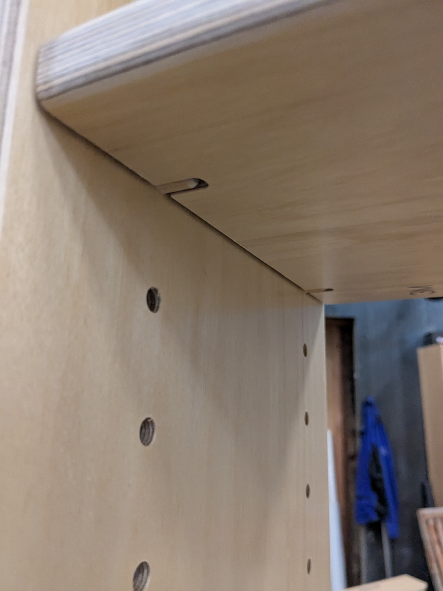 Recessed shelf pin detail under an adjustable shelf